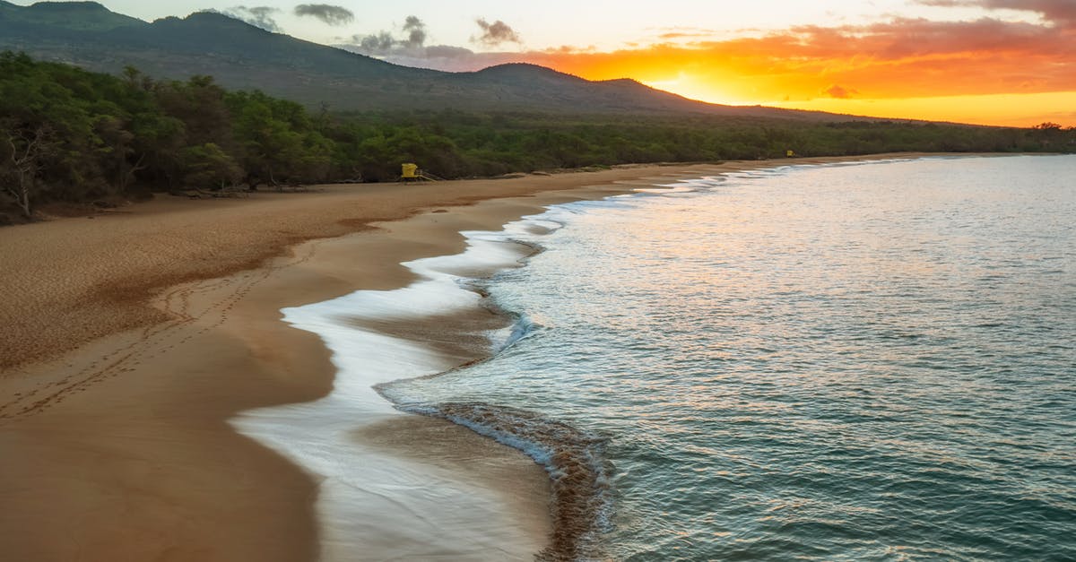 How safe are vacation rentals by owners in Hawaii (Big Island)? - Green Trees Beside Body Of Water During Sunset How safe are vacation rentals by owners in Hawaii (Big Island)? - Green Trees Beside Body Of Water During Sunset