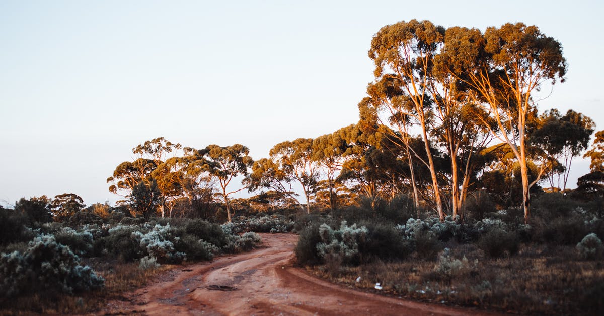 How safe is the Sugar Loaf trail (Brazil)? - Picturesque scenery of rural pathway amidst bushes and sugar gum trees growing in Karlkurla Bushland Park against cloudless sky in Australia How safe is the Sugar Loaf trail (Brazil)? - Picturesque scenery of rural pathway amidst bushes and sugar gum trees growing in Karlkurla Bushland Park against cloudless sky in Australia