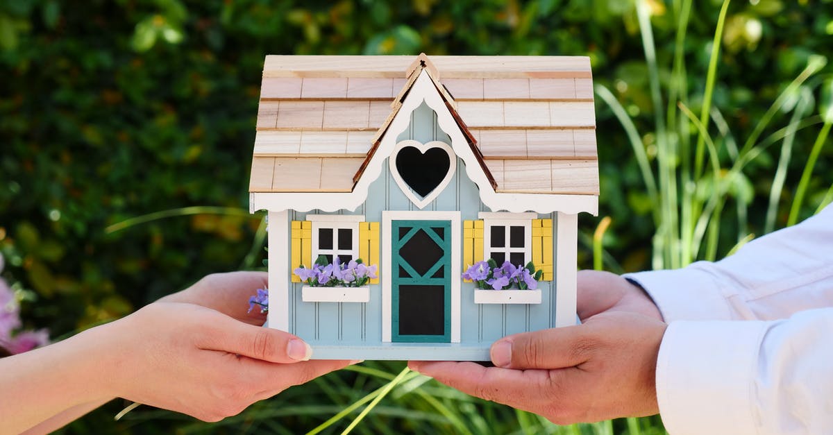 How to buy a flight ticket when holding an Estonian alien passport? - People Holding Miniature Wooden House How to buy a flight ticket when holding an Estonian alien passport? - People Holding Miniature Wooden House
