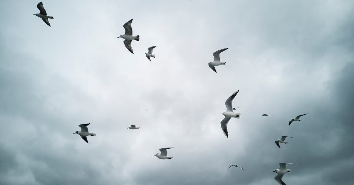 How to claim Virgin Train tickets towards Virgin Flying Club air miles, if not booked through their official website? [closed] - Flock of White Seagulls in the Sky 