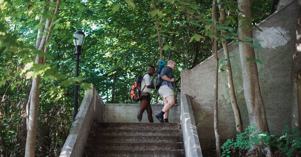 How to decide which way to go up the Eiffel tower? - Side view of active multiracial travelers walking upstairs in green park in sunny day How to decide which way to go up the Eiffel tower? - Side view of active multiracial travelers walking upstairs in green park in sunny day