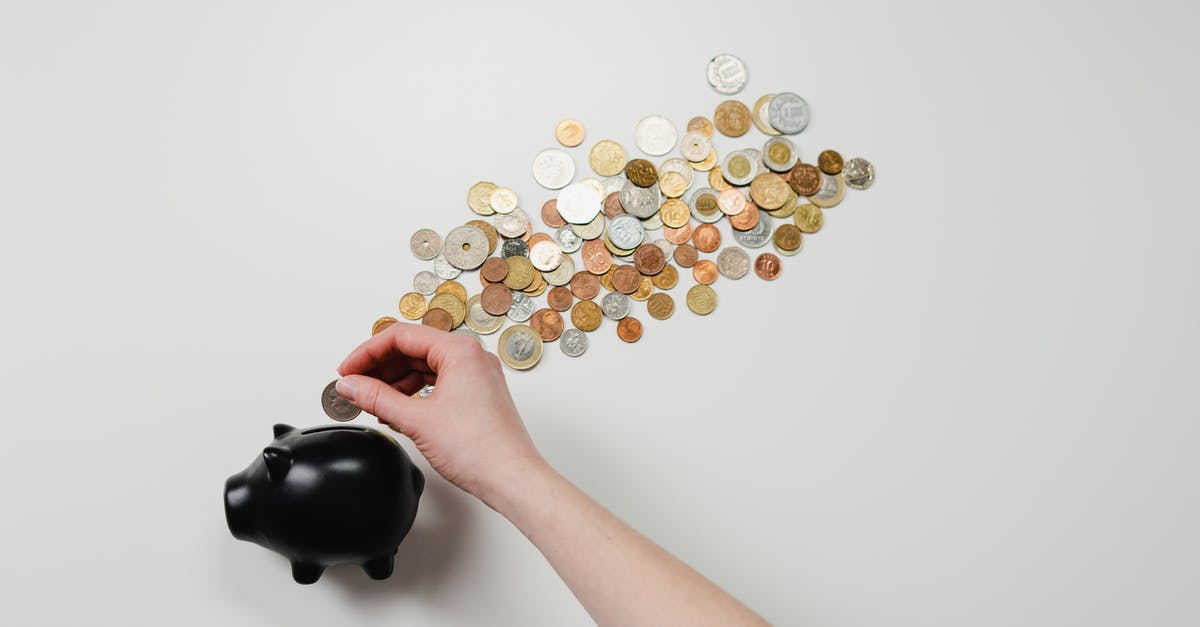 How to declare Schengen Visa Sufficient Funds for girlfriend? - Person Putting Coin in a Piggy Bank