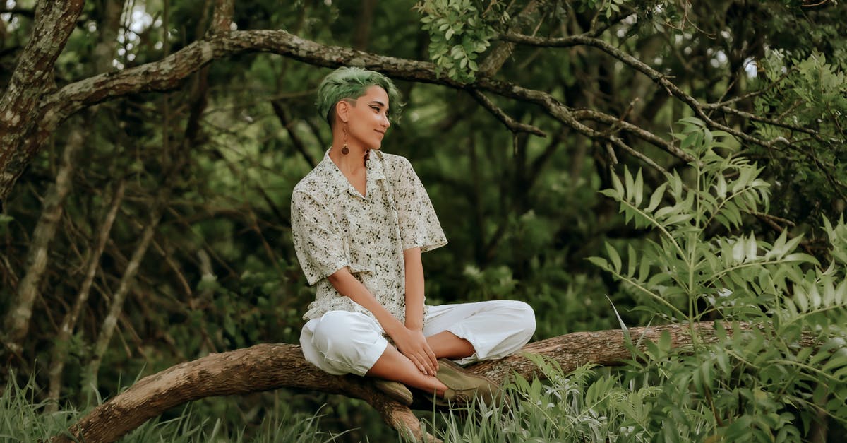 How to extend my short stay Schengen visa? [duplicate] - Smiling Woman with Short Green Hair Sitting on Branch of Big Tree