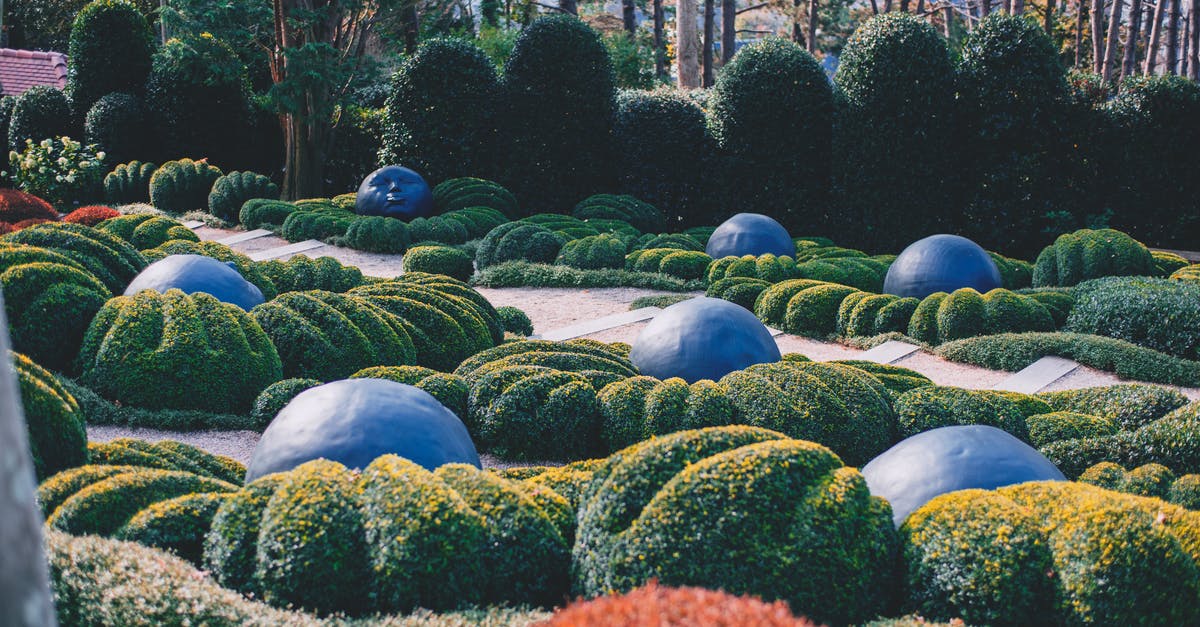 How to get from Moustieres-Sainte-Marie, France to Juan-Les-Pins, France by public transport? [closed] - Etretat garden with green flowerbeds and blue stone representing emotions located in France on sunny summer day in nature