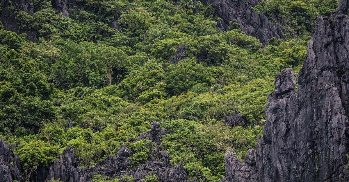 How to get from Negros/Cebu to El Nido, Palawan? - Green Trees on Rocky Mountain How to get from Negros/Cebu to El Nido, Palawan? - Green Trees on Rocky Mountain