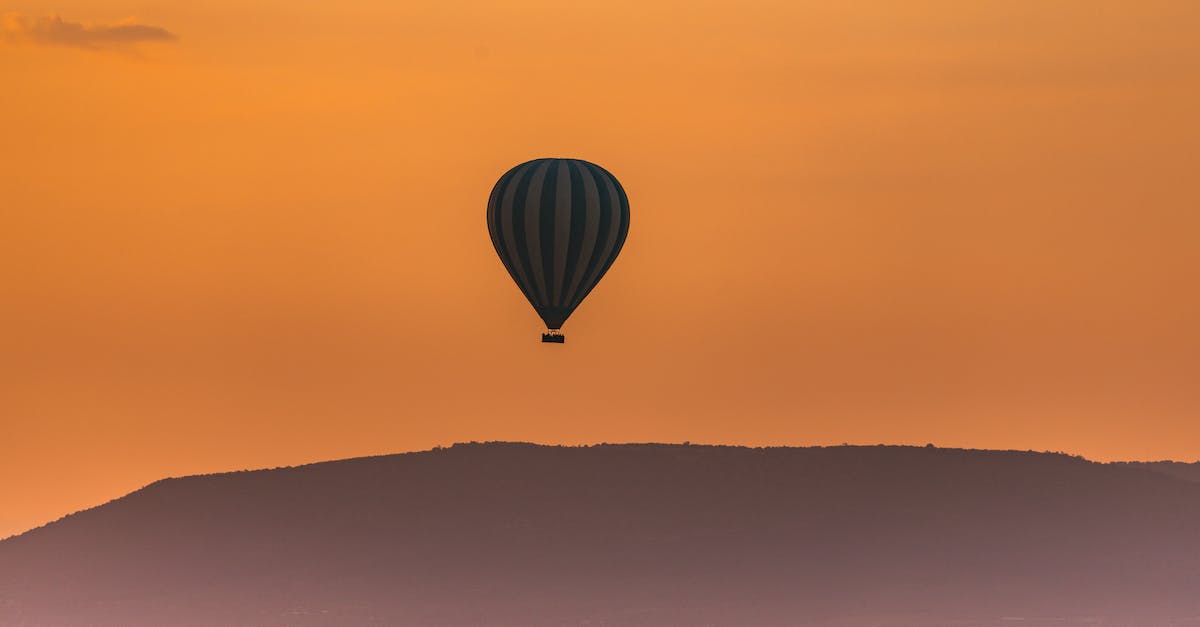 How to get into and travel across Tanzania - Wild herbivore animals grazing on grassy terrain near mountains against picturesque sunset sky with hot air balloon flying in national park Serengeti Tanzania Africa How to get into and travel across Tanzania - Wild herbivore animals grazing on grassy terrain near mountains against picturesque sunset sky with hot air balloon flying in national park Serengeti Tanzania Africa