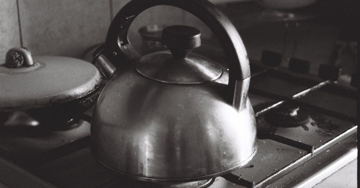 How to handle a 12 hour layover in Miami - Stainless Steel Kettle on Stove How to handle a 12 hour layover in Miami - Stainless Steel Kettle on Stove