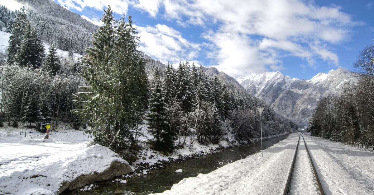 How to Identify Trains in Austria and Switzerland? - Railway Surrounded by Trees Covered With Snow How to Identify Trains in Austria and Switzerland? - Railway Surrounded by Trees Covered With Snow