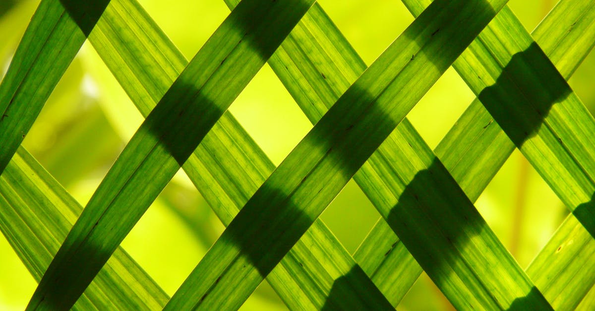 How to insure checked luggage? - Green Woven Frame