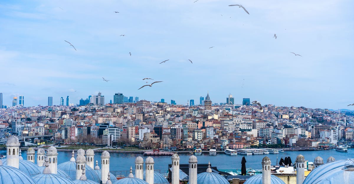 How to make complex multi-leg flight reservations? - Contemporary buildings and old majestic mosques near river under cloudy sky and birds flying in Turkey How to make complex multi-leg flight reservations? - Contemporary buildings and old majestic mosques near river under cloudy sky and birds flying in Turkey