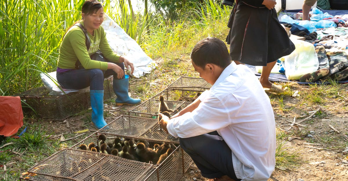 How to politely ask people from East Asia to give way? [closed] - Asian male in casual wear hunkering down and choosing ducklings from cages in indigenous street bazaar