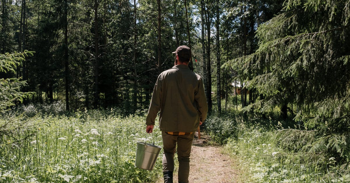 How to prove that I will return back to my country of origin? - Man in Green Jacket and Brown Pants Walking on Forest