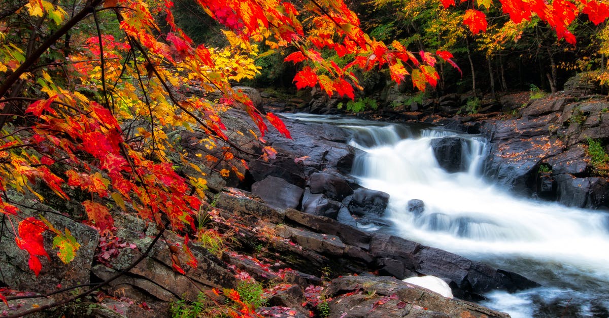 How to reach Dudhsagar Falls by Scooter in Monsoon Season? - Photo of Waterfalls During Fall Season How to reach Dudhsagar Falls by Scooter in Monsoon Season? - Photo of Waterfalls During Fall Season