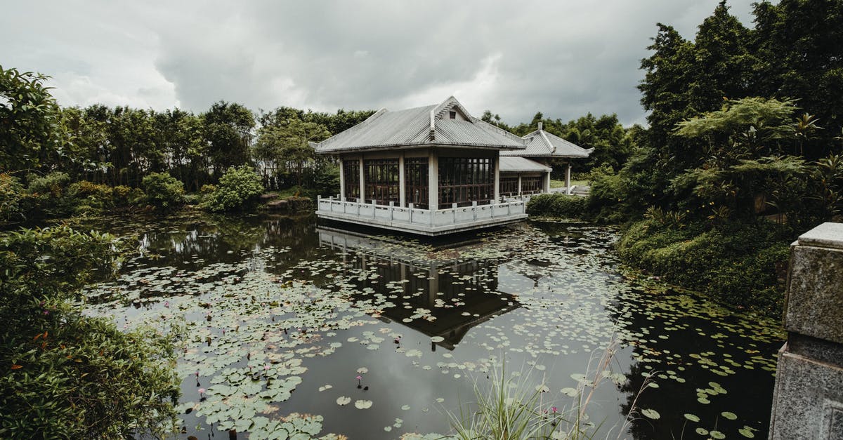 How to reserve an air ticket for a Chinese visa without pre-paying? - Chinese house facades near pond with water lilies How to reserve an air ticket for a Chinese visa without pre-paying? - Chinese house facades near pond with water lilies