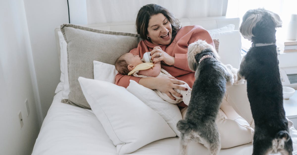 How to sterilize infant feeding bottles while traveling? - Woman in White Long Sleeve Shirt Lying on Bed Beside Black and White Long Coated Small How to sterilize infant feeding bottles while traveling? - Woman in White Long Sleeve Shirt Lying on Bed Beside Black and White Long Coated Small