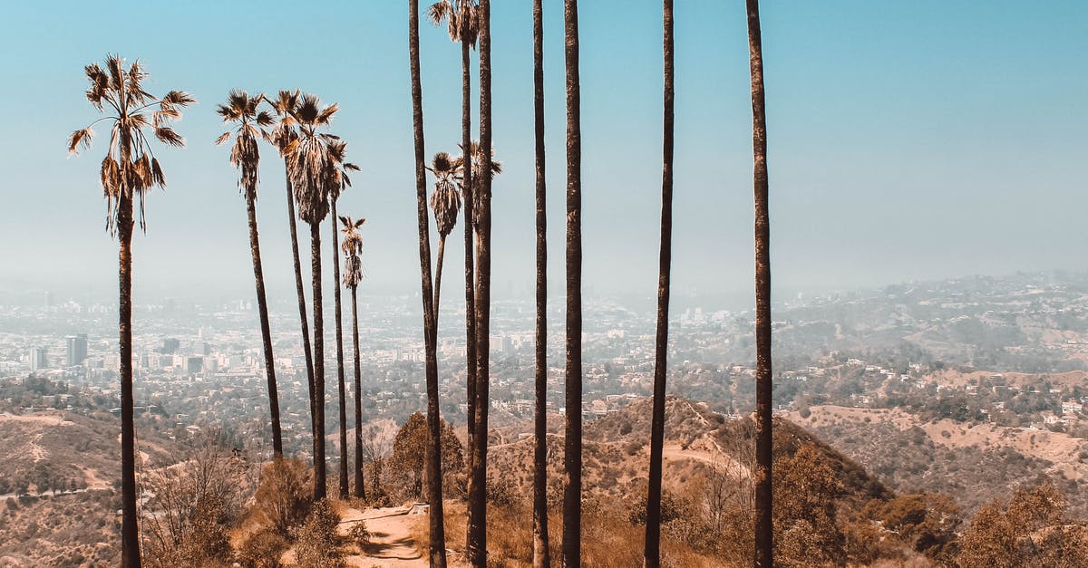 How to survive the heat in regions with very high temperature? - Trees Near Dried Grass Under Clear Sky How to survive the heat in regions with very high temperature? - Trees Near Dried Grass Under Clear Sky