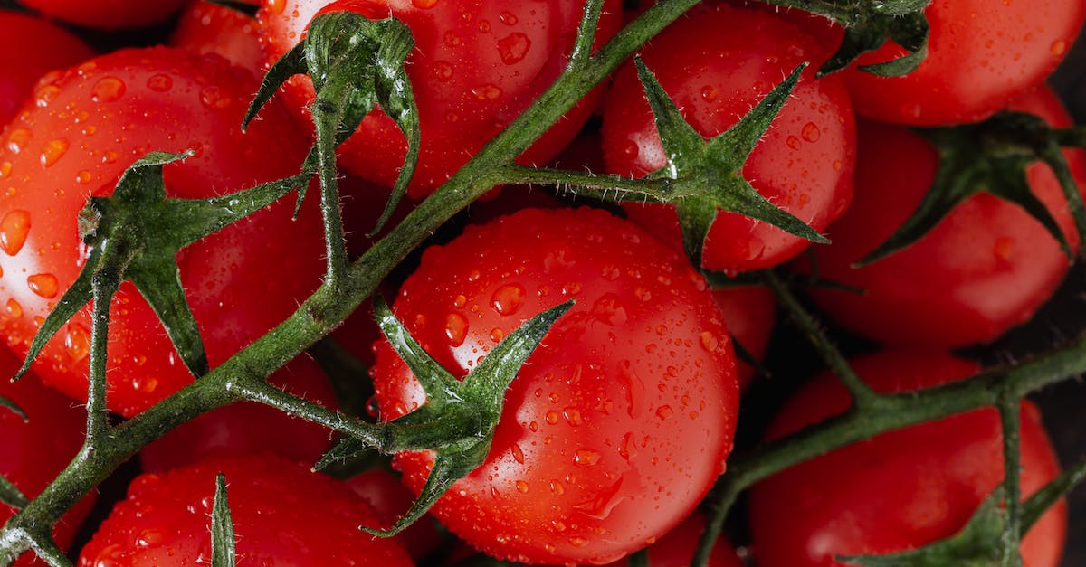 How to systematically find a place to go to for newbies [closed] - Fresh ripe red tomatoes with water drops