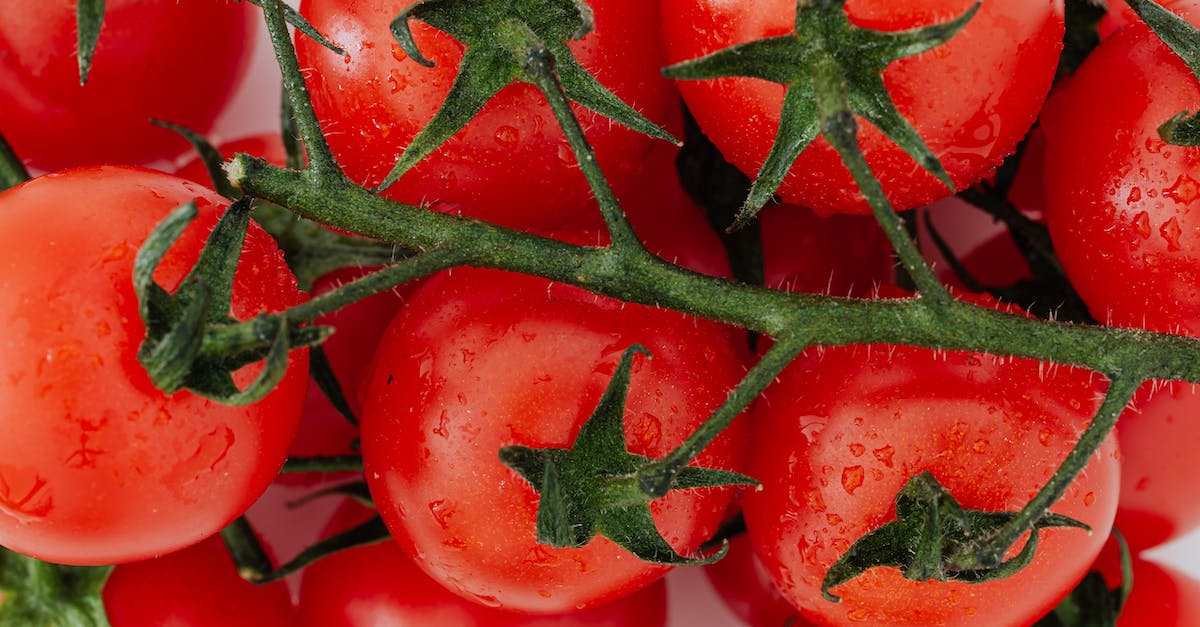 How to systematically find a place to go to for newbies [closed] - Bunch of fresh ripe tomatoes on branch