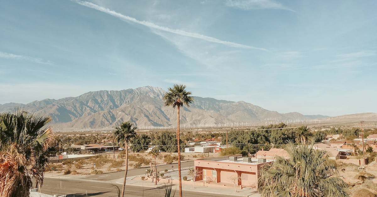 How to travel to California with my cat - with United - A Beautiful Landscape On A Bright Day How to travel to California with my cat - with United - A Beautiful Landscape On A Bright Day
