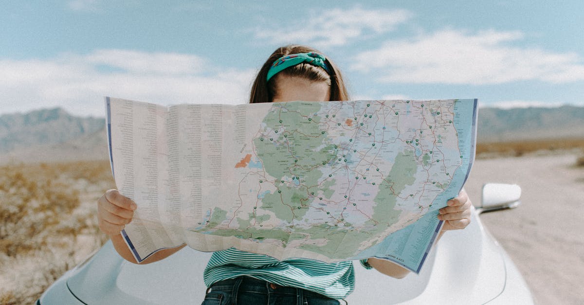 How to travel to California with my cat? [closed] - Woman Looking At The Map