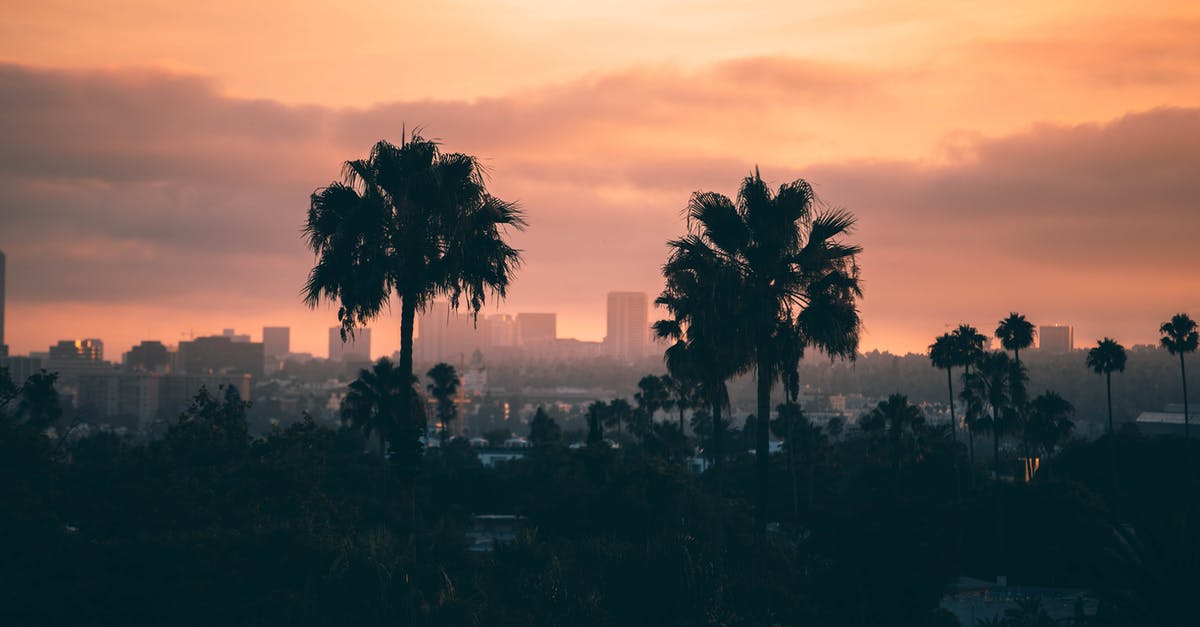 How to travel to California with my cat? [closed] - City Buildings and Trees during Golden Hour