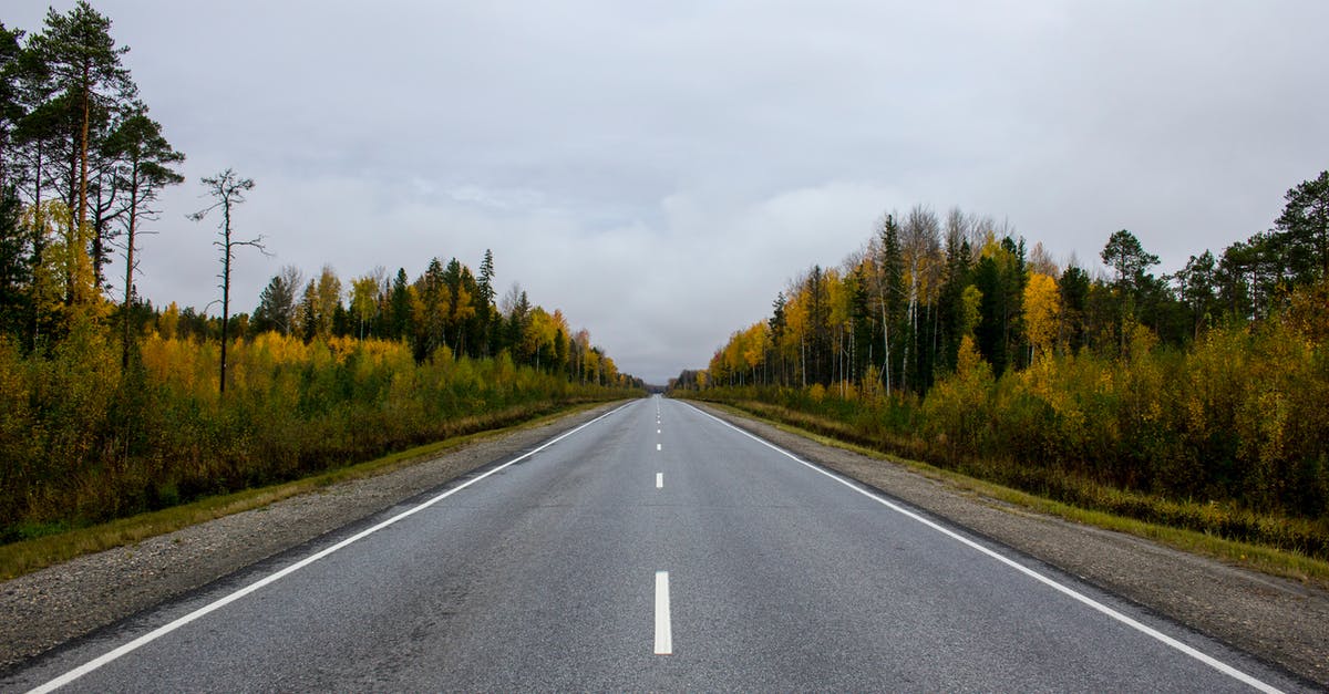 I-95 Carolina Hurricane Florence Highway Closures - Empty Road in Summer Forest Landscape I-95 Carolina Hurricane Florence Highway Closures - Empty Road in Summer Forest Landscape