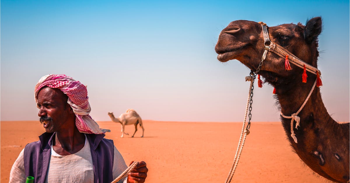 I am a nomad (traveler), where is my home? - Standing Man Beside Camel on Desert I am a nomad (traveler), where is my home? - Standing Man Beside Camel on Desert