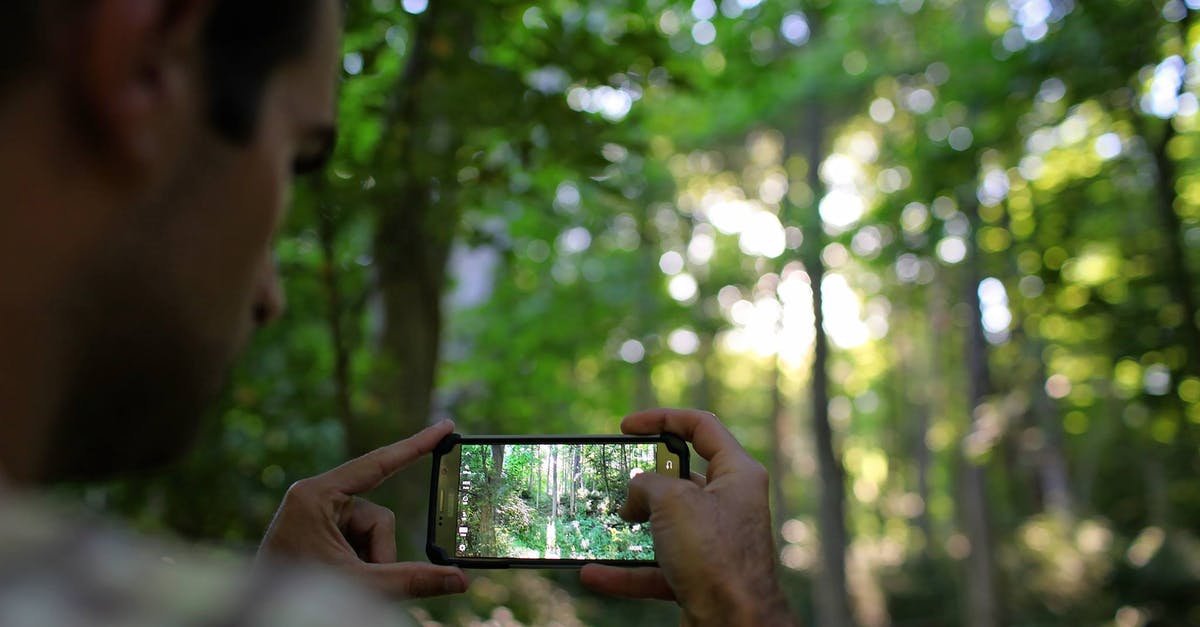 I am planning on a sight seeing trip in China during this summer, How can I keep my passport, wallet, and phone safe without overheating? - Crop man photographing forest on smartphone I am planning on a sight seeing trip in China during this summer, How can I keep my passport, wallet, and phone safe without overheating? - Crop man photographing forest on smartphone