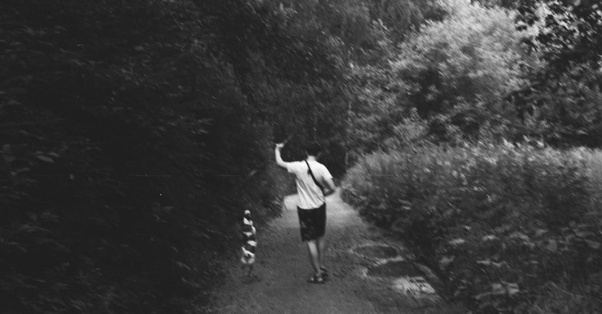 I have a one way ticket to Austria, will they send me back home? - Anonymous man with dog walking in forest amidst lush vegetation I have a one way ticket to Austria, will they send me back home? - Anonymous man with dog walking in forest amidst lush vegetation