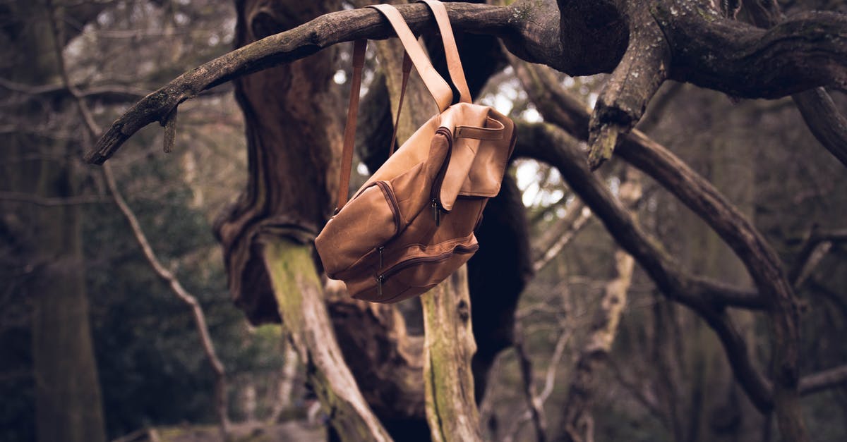 I lost my boarding pass with my bag tag on it, does this matter? - Brown Knapsack Hanging from a Branch