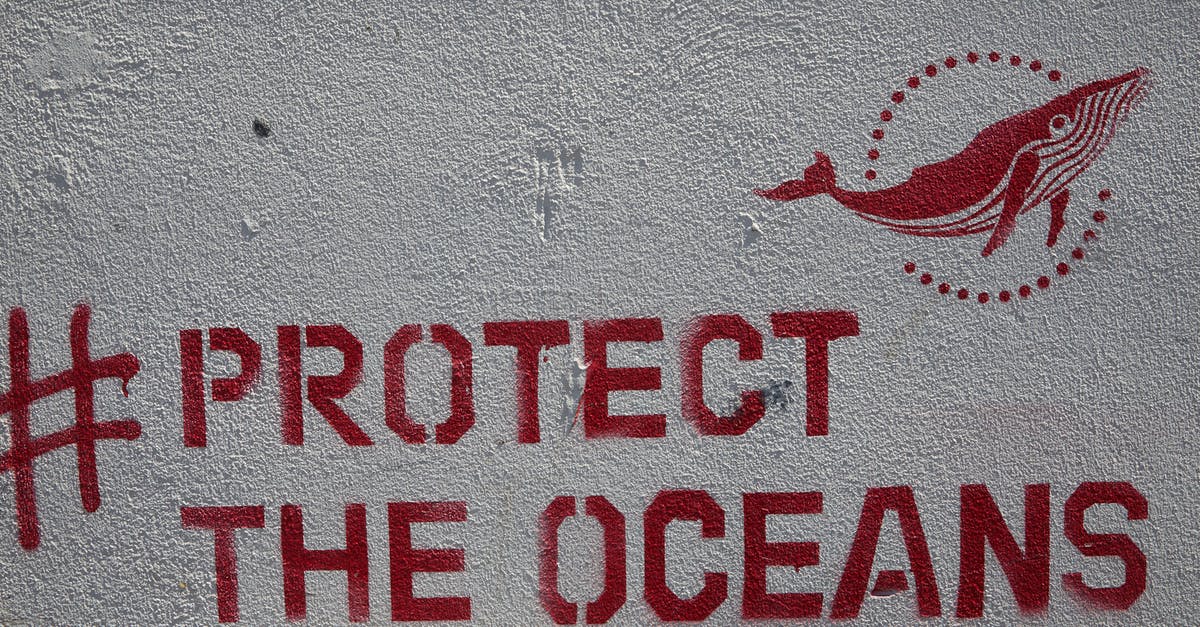 I renewed my passport and my multiple visa is on my old passport. Will this create problems with Immigration? - Graffiti with inscription Protect the oceans placed on concrete wall