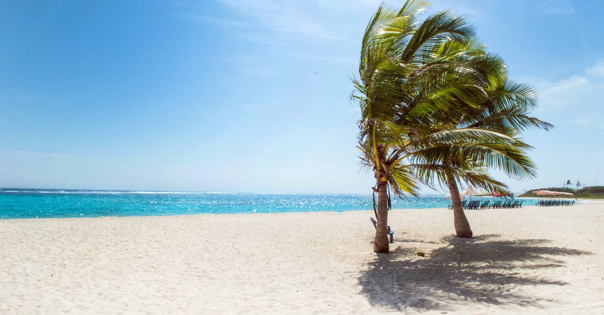 I want come to Jeju Island for 10 days. What is the requirement for traveling? [closed] - Green Coconut Trees Near Body of Water