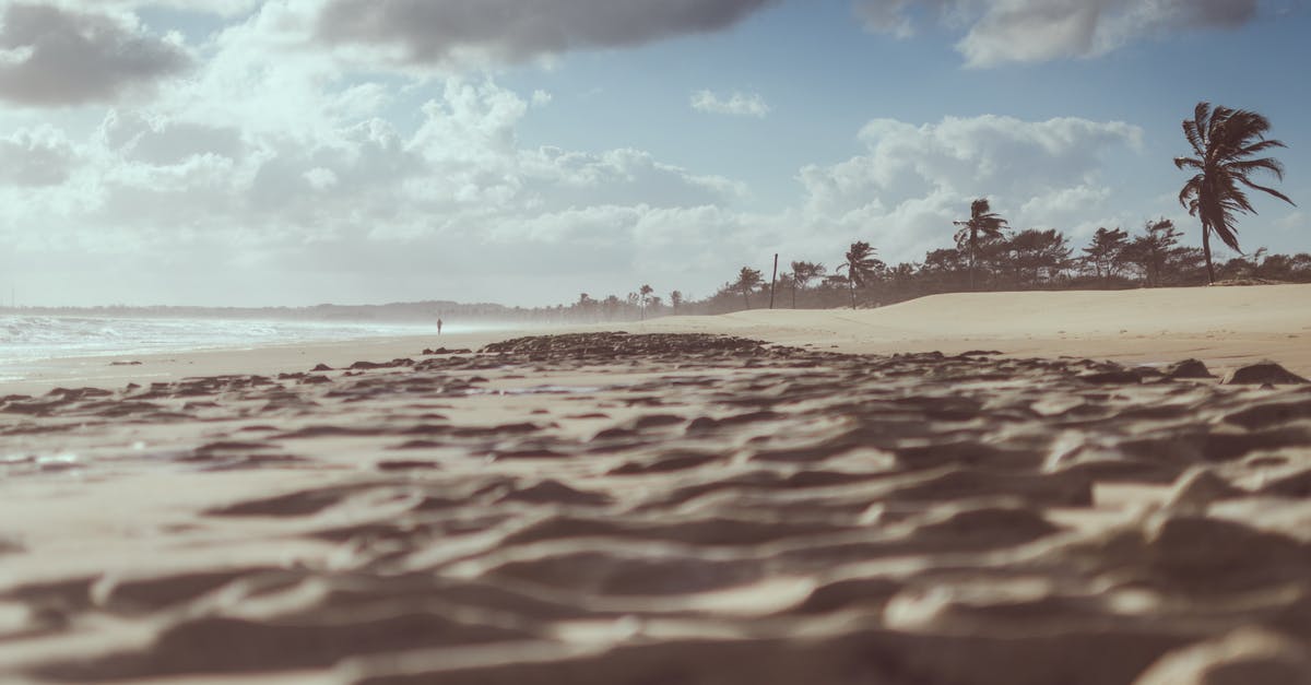 I would like to travel to (the smallest) island where there are squirrels [closed] - Brown Sands Under Blue Skies Photography
