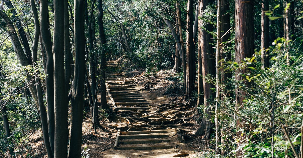 Ideas for a 5 to 7 day hike in Japan [closed] - Photo of Pathway Surrounded by Trees