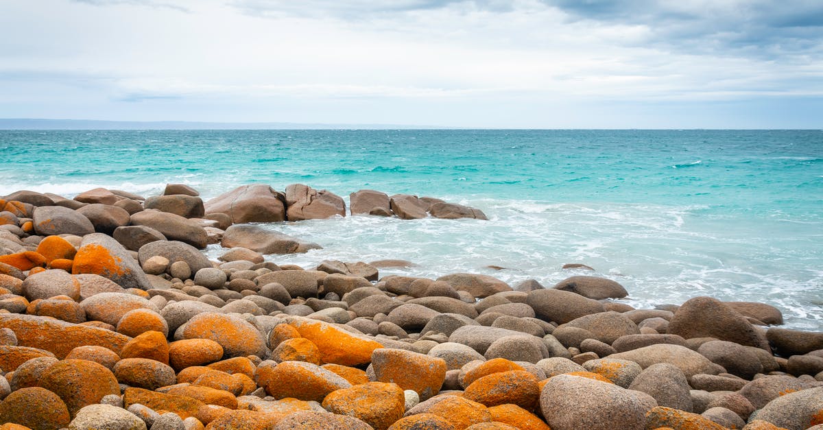 If the SA embassy made a mistake by not issuing a European tourist 90 days to visit SA how can this error be fixed? - Photo Of Ocean During Daytime