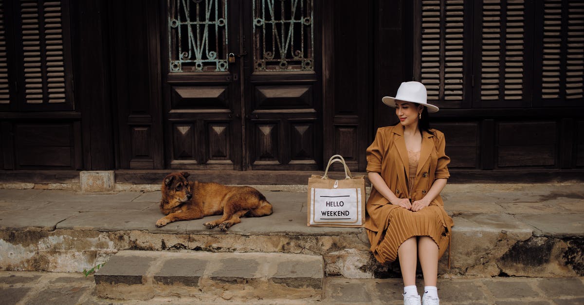 If you are planning to be away for a long trip (possibly a year or longer), do you need to have domestic health insurance with the ACA requirement? - Young content ethnic female tourist in stylish apparel looking away near street dog while sitting on pavement in town
