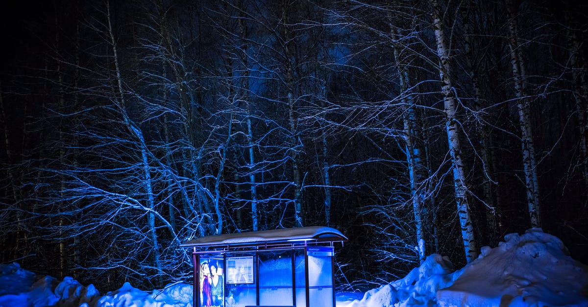 In 1 inch (2.5 cm) of snow, would Amtrak be much faster than a bus? - Photography of Bus Stop During Winter In 1 inch (2.5 cm) of snow, would Amtrak be much faster than a bus? - Photography of Bus Stop During Winter