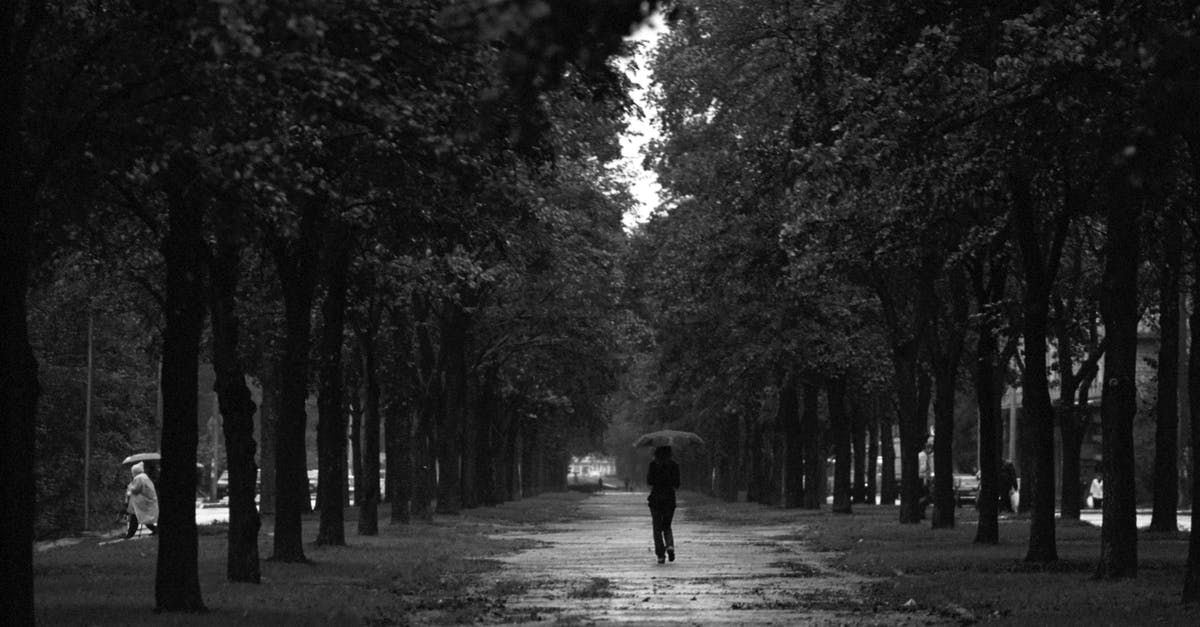 In Germany, are there any cities or special regions in cities which are dangerous for non-white people to go to? - People Walking Trough Park Under Umbrellas In Germany, are there any cities or special regions in cities which are dangerous for non-white people to go to? - People Walking Trough Park Under Umbrellas