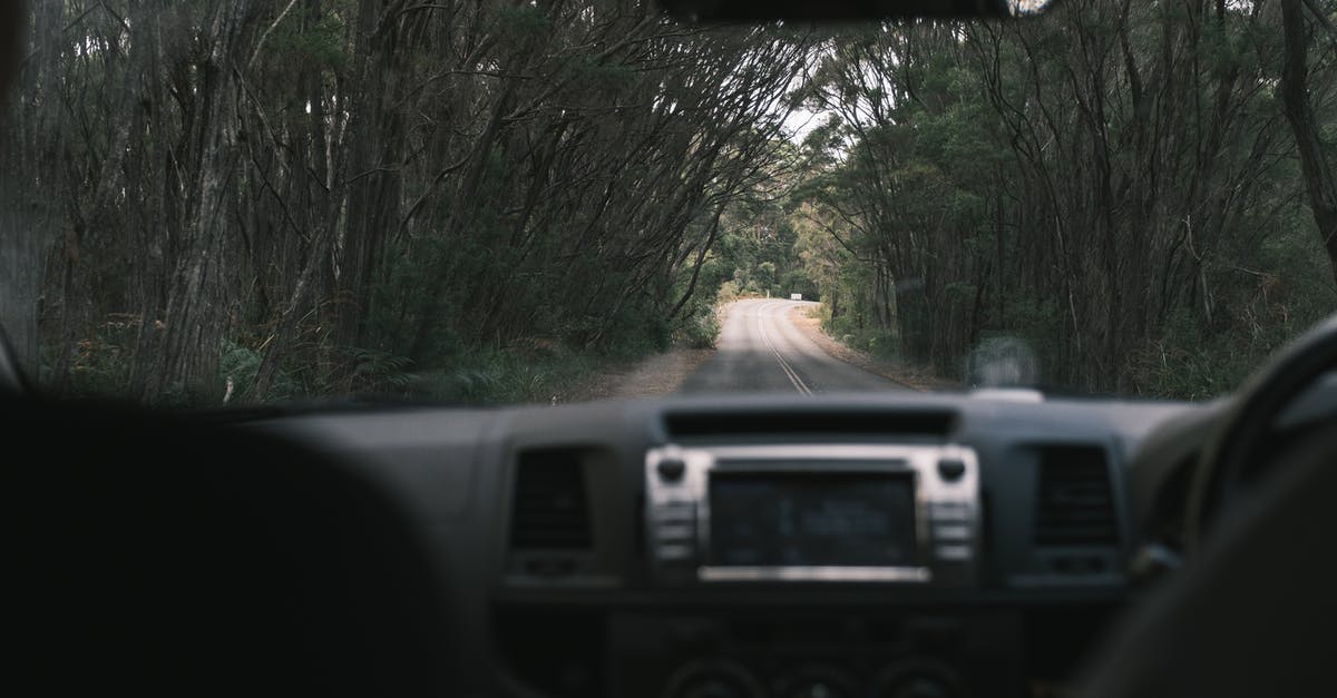 In the US, should I rent a car through travel agencies or directly with car rental companies? - Through inside automobile windshield view of empty roadway between green trees on summer day