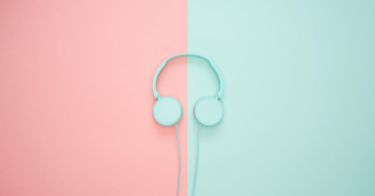 Incorrect image on visa - Blue Headphone Incorrect image on visa - Blue Headphone