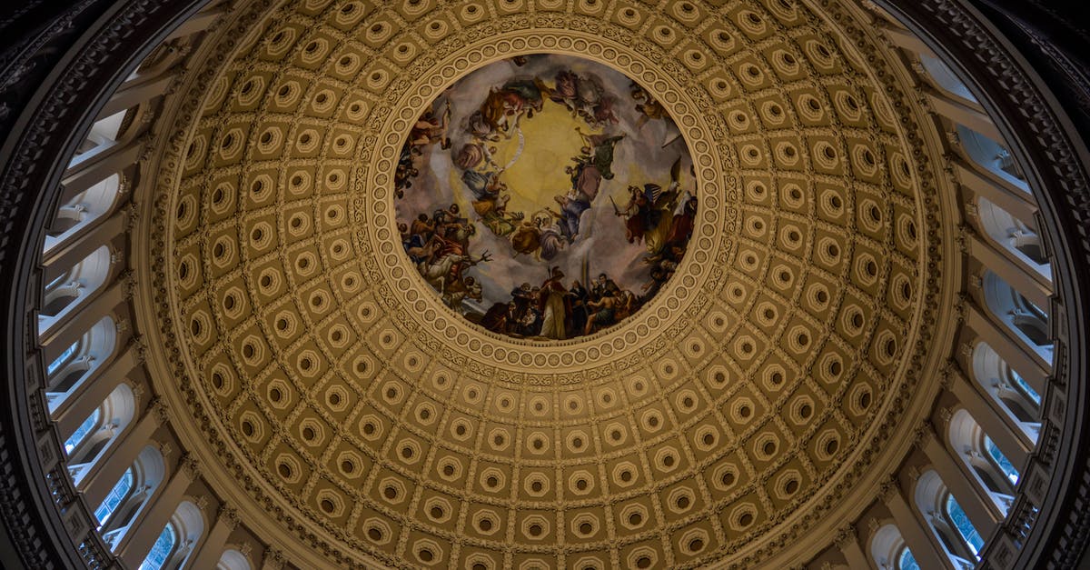 Indian National Travelling from USA to India via Dublin - Dome with fresco of Capitol Building Indian National Travelling from USA to India via Dublin - Dome with fresco of Capitol Building