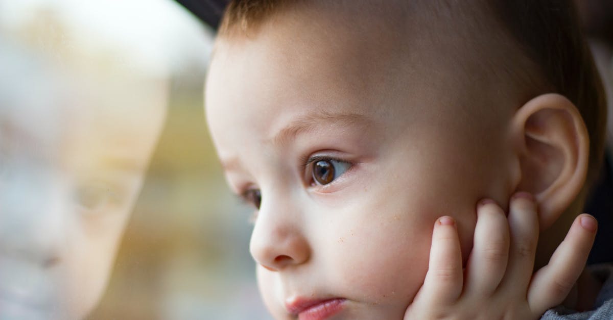 Infant visitor visa - Baby Infant Looking in Window Infant visitor visa - Baby Infant Looking in Window