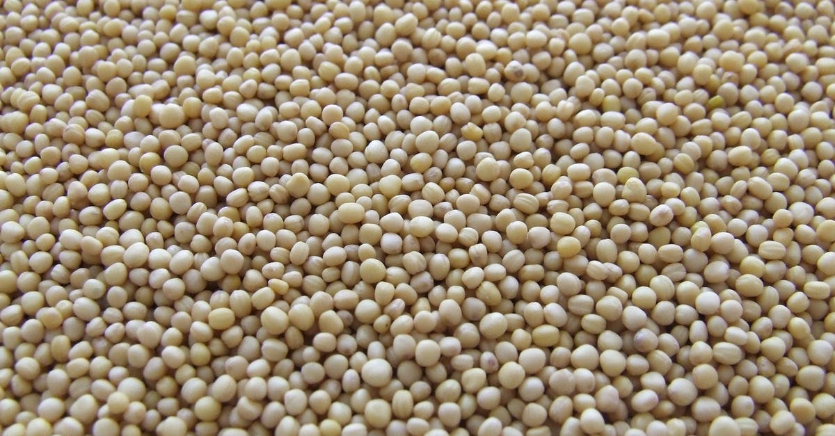 International Legality for travelers to import or buy poppy seeds commonly used as cooking spice in some cultures? - White Beans International Legality for travelers to import or buy poppy seeds commonly used as cooking spice in some cultures? - White Beans