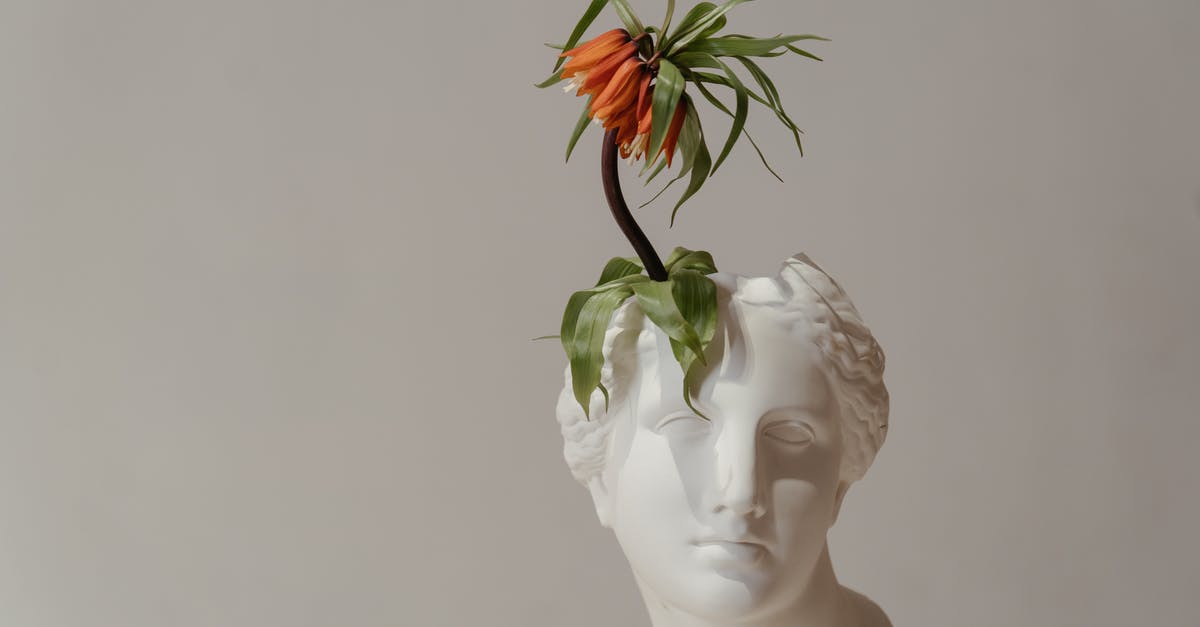 Introduction to Roman Londinium? - White Ceramic Woman With Red Flower Introduction to Roman Londinium? - White Ceramic Woman With Red Flower