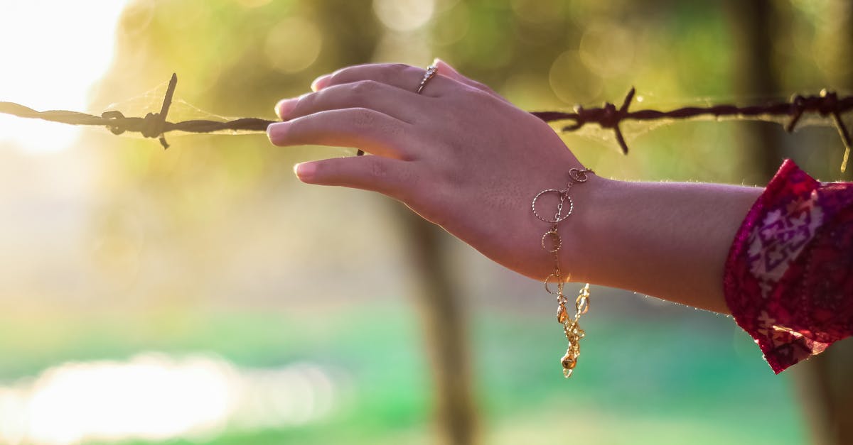 Is a 105 cm steel wire a suspect item in a hand baggage? - Left Persons Hand Holding a Bulb Wire Is a 105 cm steel wire a suspect item in a hand baggage? - Left Persons Hand Holding a Bulb Wire