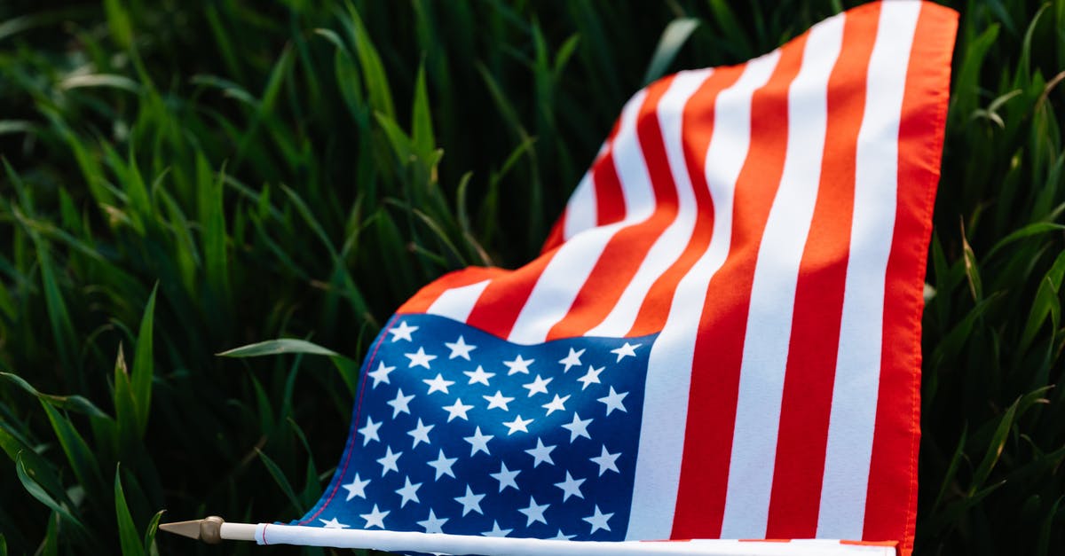 Is an entry to Mexico a red flag in U.S. immigration? - From above of grass with colorful American flag with red and white stripes representing diligence and valor and many stars on blue rectangle Is an entry to Mexico a red flag in U.S. immigration? - From above of grass with colorful American flag with red and white stripes representing diligence and valor and many stars on blue rectangle