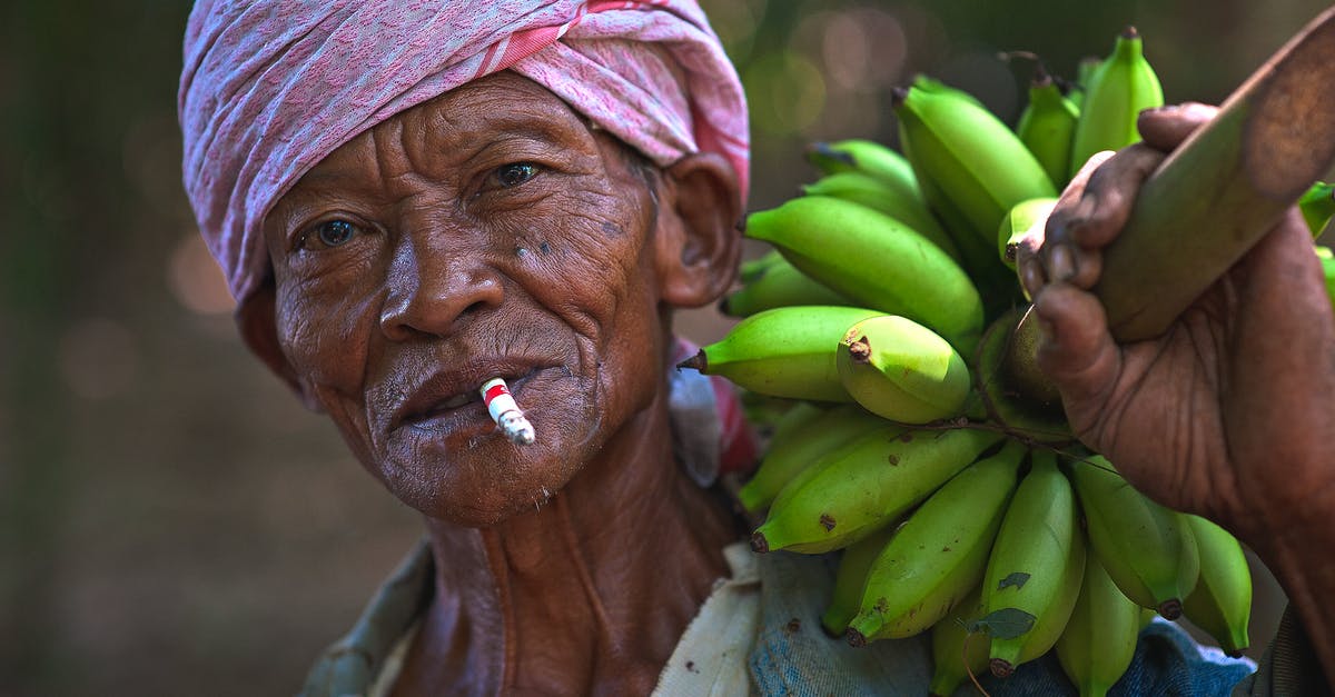 Is carrying your own food allowed in Keukenhof? - Man Wearing Blue Top Holding Bunch of Unripe Bananas Is carrying your own food allowed in Keukenhof? - Man Wearing Blue Top Holding Bunch of Unripe Bananas