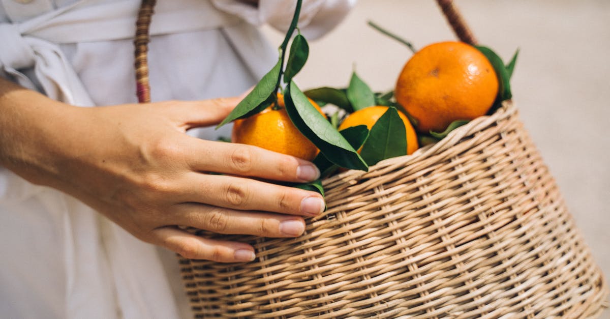 Is carrying your own food allowed in Keukenhof? - Orange Fruits on a Basket Is carrying your own food allowed in Keukenhof? - Orange Fruits on a Basket