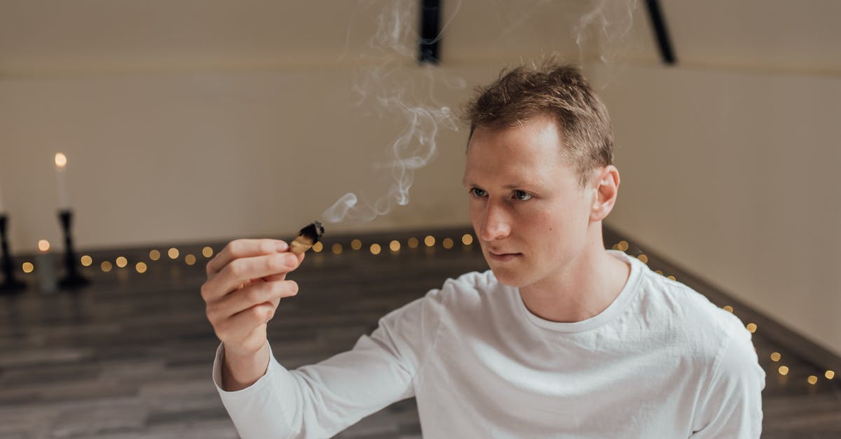 Is checkmytrip.com overloaded? Is there an alternative? - Free stock photo of adolescence, alternative healing, boy
