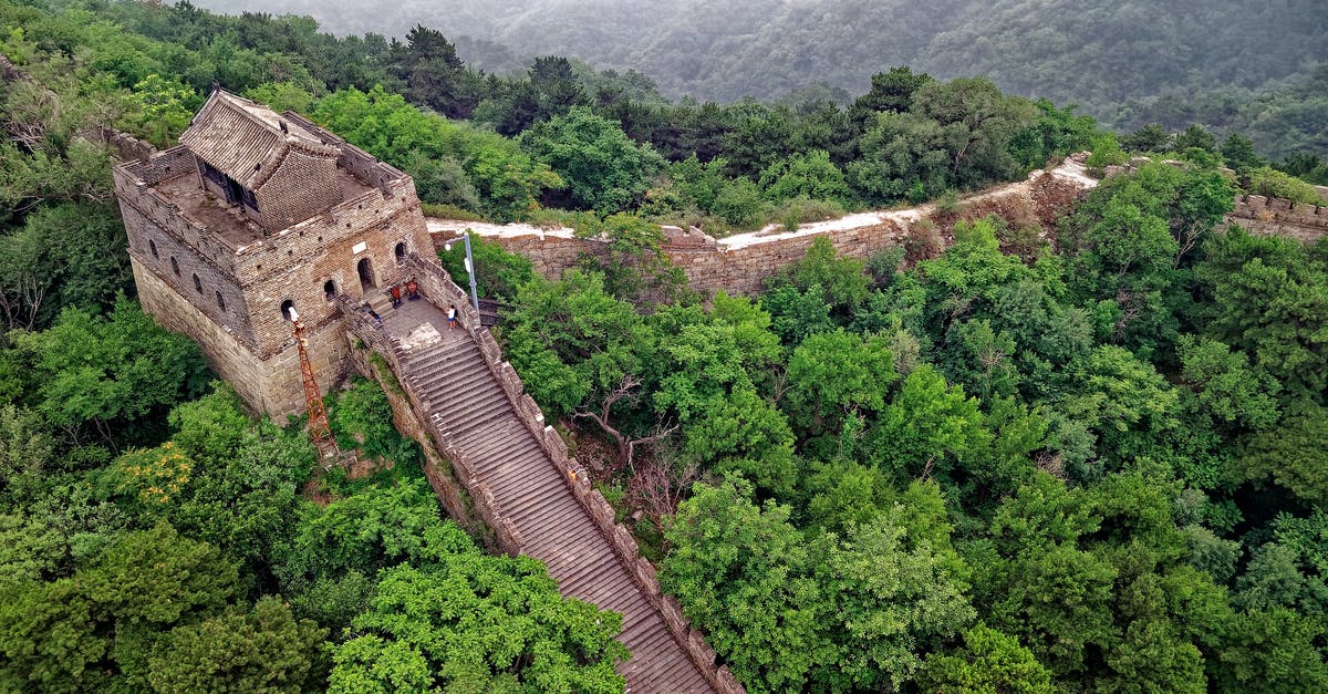 Is China Southern's website optimised for a particular browser? - Brown Concrete Wall Surrounded By Trees